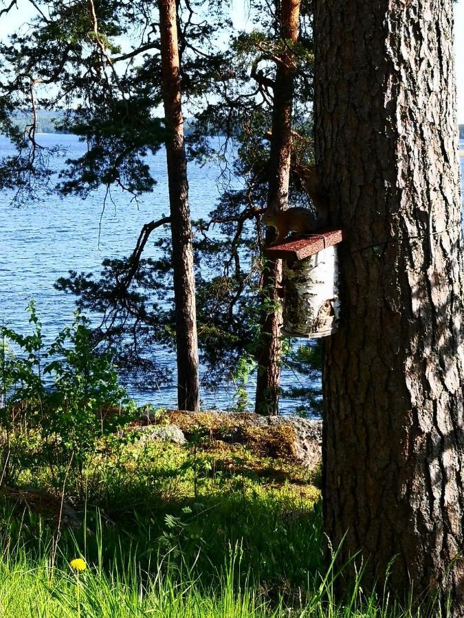 Club House Hotelli Kaipolan Ranta Jämsä 외부 사진